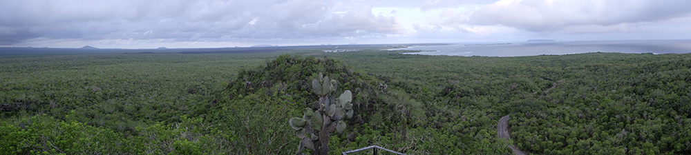 Point de vue sur le chemin - Muro Lagrimas - Isabela - Galápagos