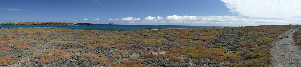Panorama - Plaza Sur - Galápagos