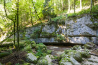 Gorges de Twann