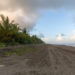 Playa Tortuguero