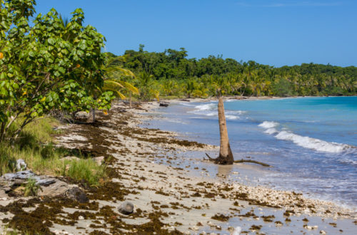 Parque nacional de Cahuita